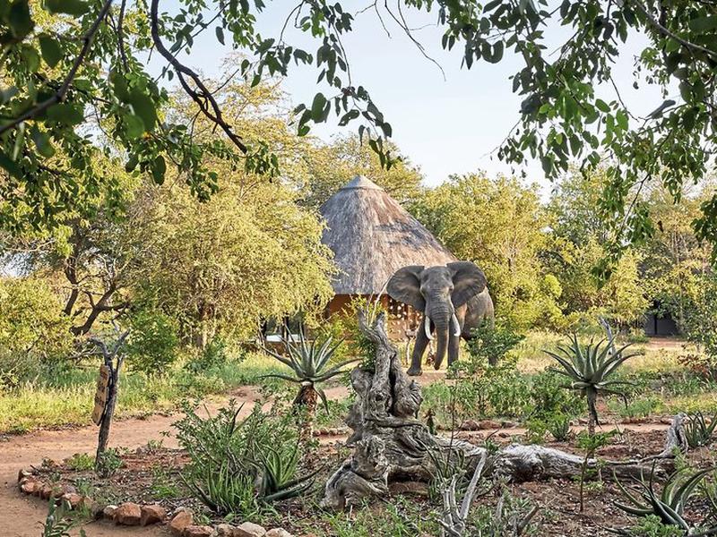 FC5BFFDDD210177444A426E5BB082F51