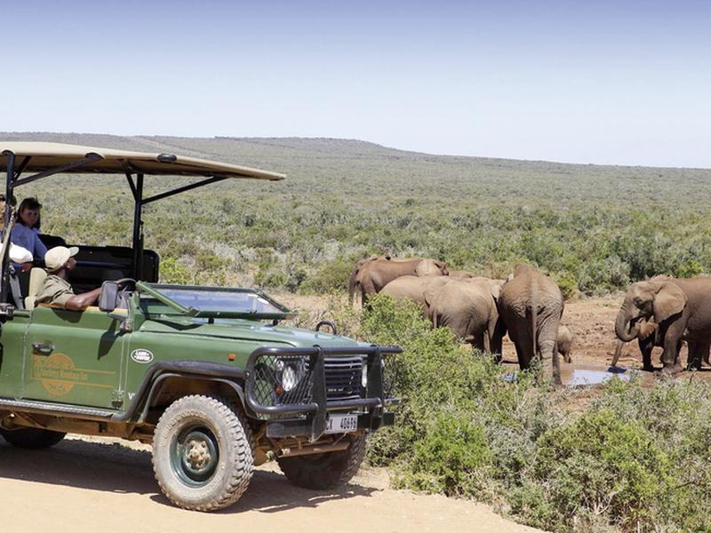 1FE4E970DACCA546FE6151740E80D347