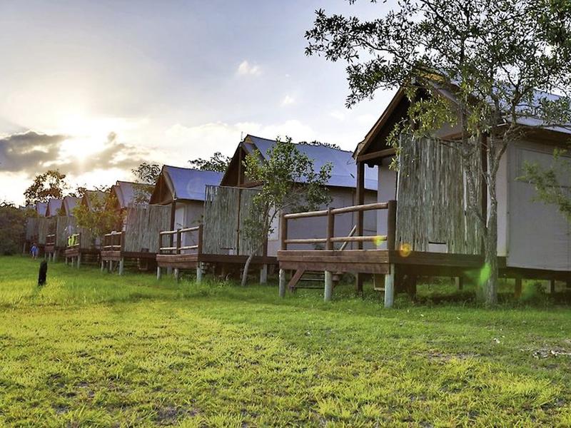 631239F9CD009244F1FF86083190E216