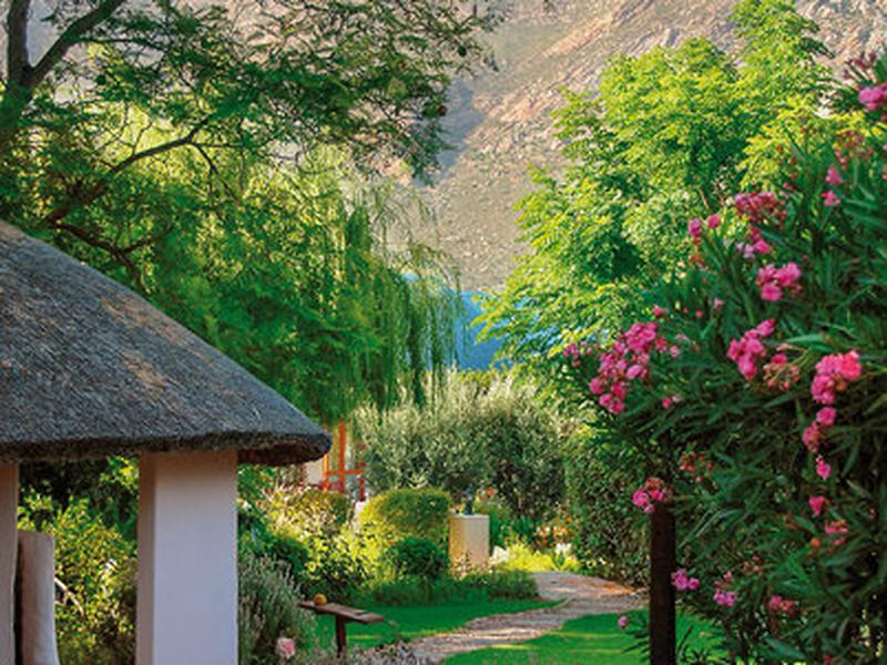 A232BF6F09D800A2155E593AA9099391