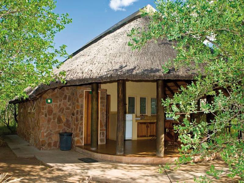 2239F06D876C6831F279B9AB1F7FBE0E