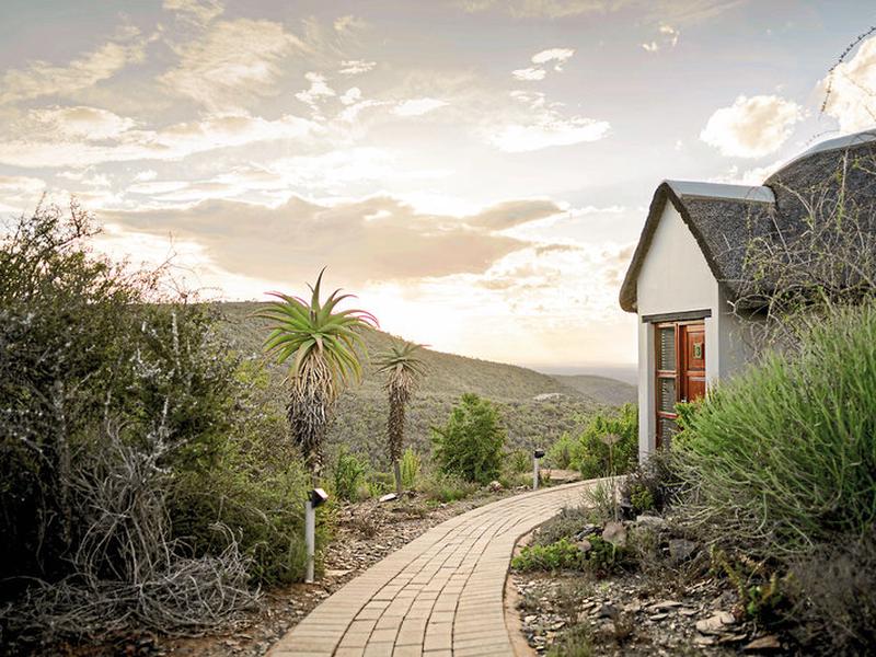 A40EE29E63EA97251768AFCCD8ED82EC