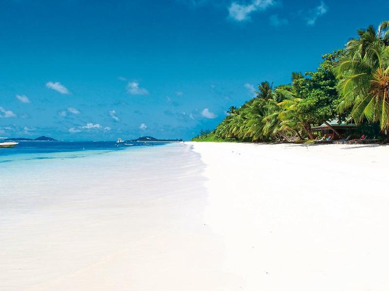 CDAE3BCA5085AE0F5FA69F6990F42351