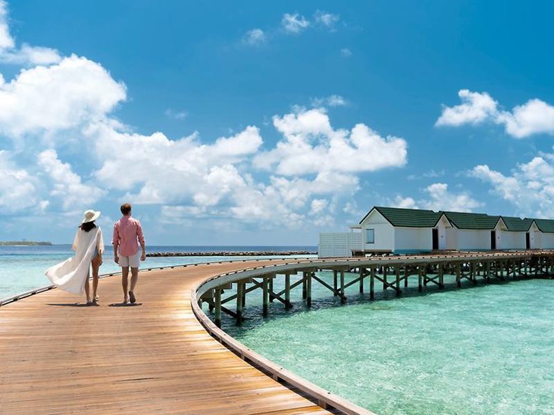 DC0BA4AD7B108252FC1494F4FEB4710B