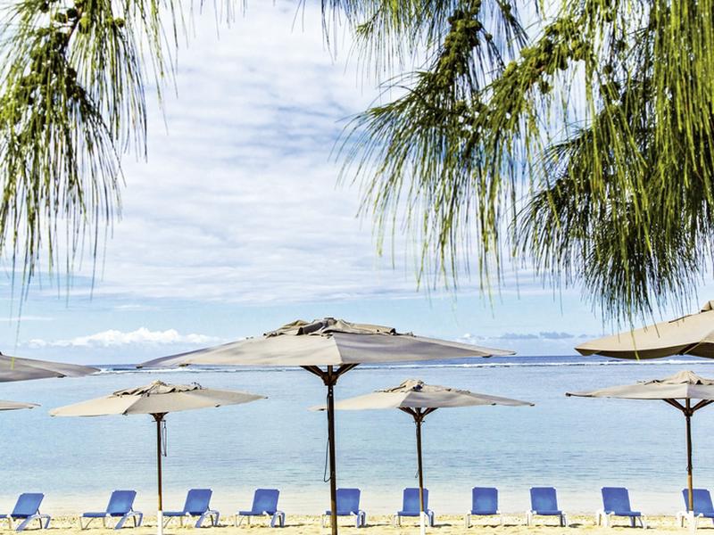 466CE57ECB7FD09DB2D18BB24507C419