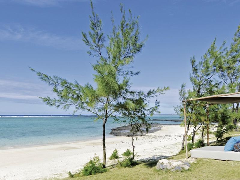 FCAFDE12A18B51A41B5911E1132F65C3