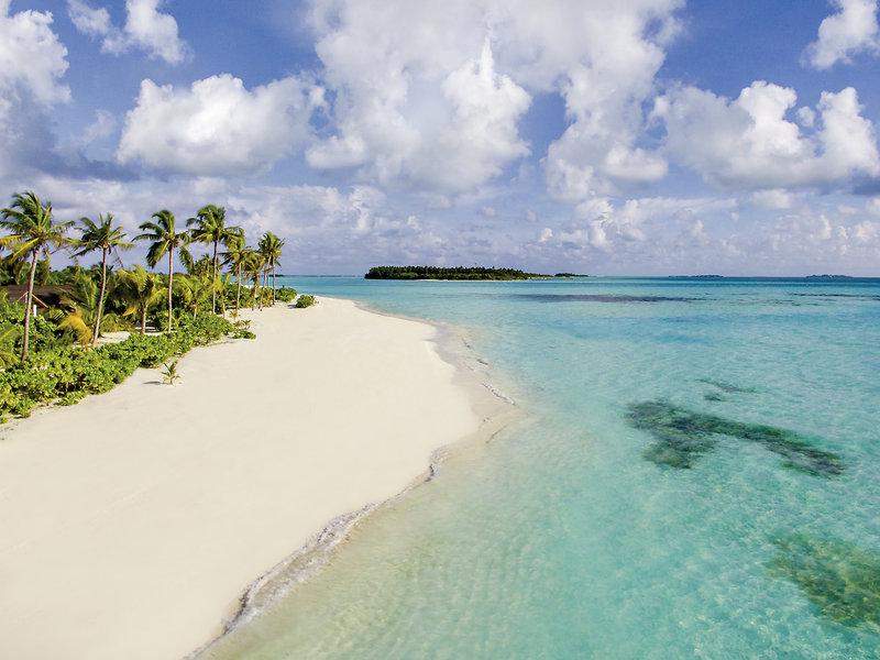 41F5D79D97599DF3586865CDB26AA15A