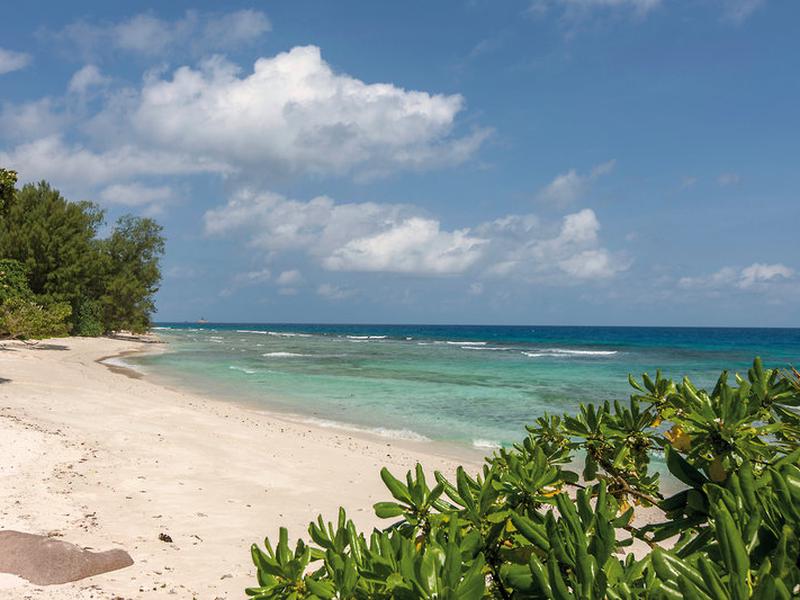 6219160D8A87C9983143F455E2CDF3C4