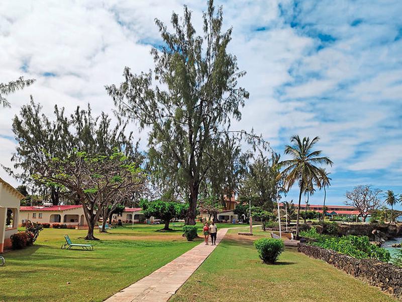 1B33820810BE0311F5D26E51A7B5832D