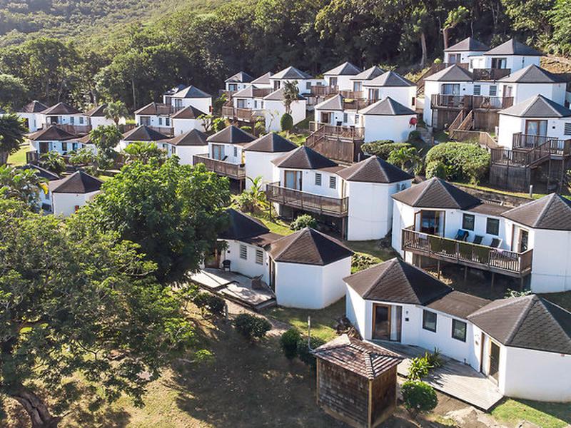 26B09B575516F6C4CD95945C131E04C0