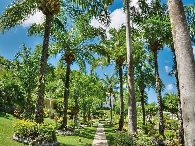 5E610C247FA5FA5DC2C426435CE44713