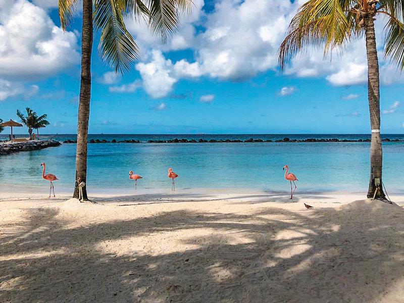 F71F76D9025CFE49E1DBFA6D60BBC8F8