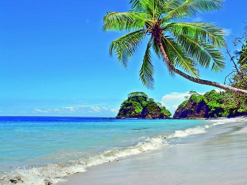 1529064A7FC2018CA827A8158E8CA60F