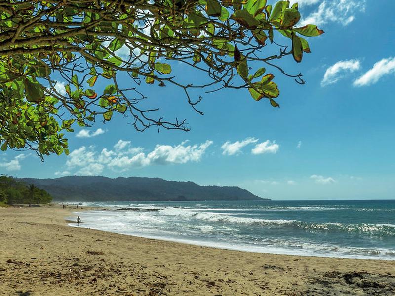 D236C2BA55AC4C9818B298C78AC32460