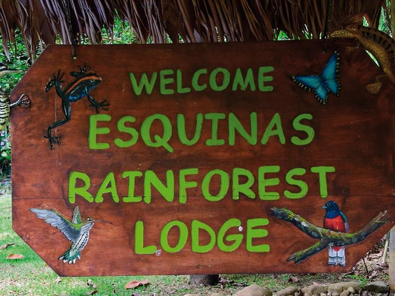 43488DBD4B2ECB48389EDD9ECA1968A4