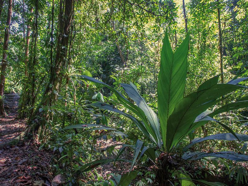 C79E6CEFFF78A9939AF158412CCF77BF