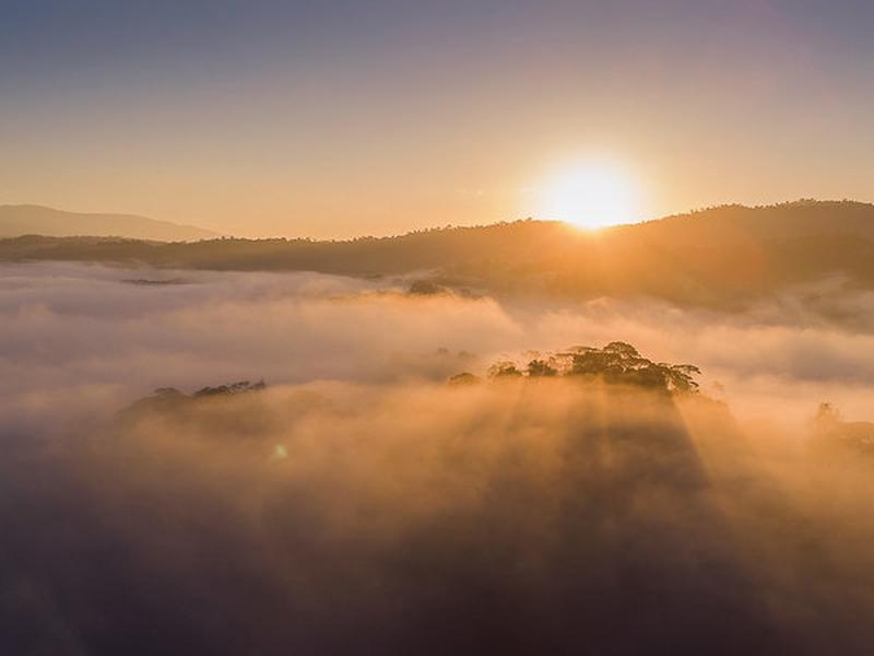 FFAADD691934B7FCA848BD39203ABE57