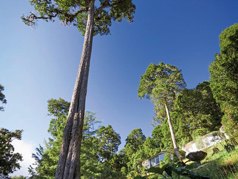 6B923A6F1C6B4E9BC3E559762E1982A0