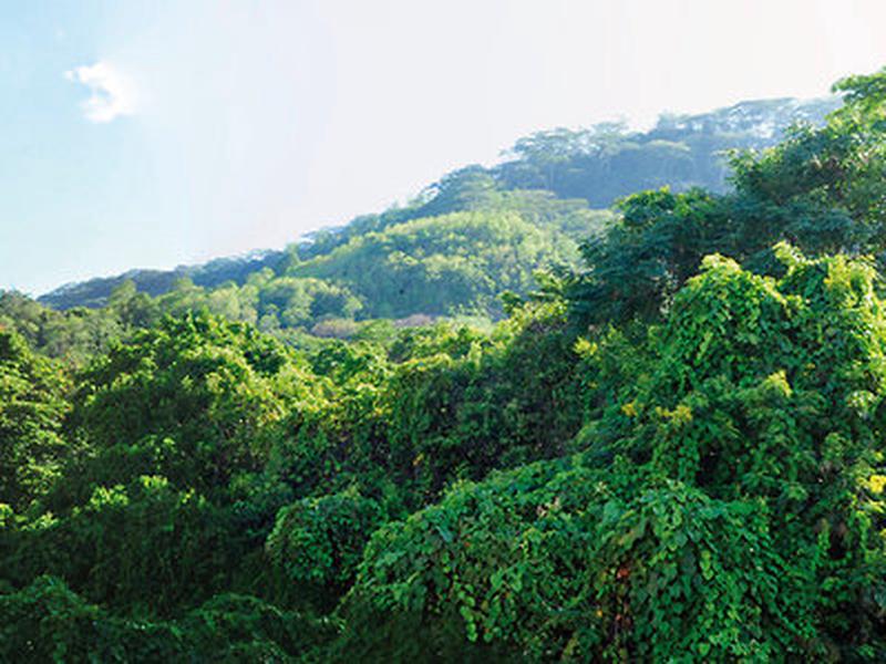 03F8E9307C9462143F5CE1CE7CC46DC8