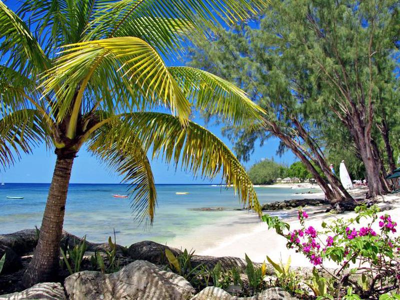 8FEFFBCFF6BA65CE428B465677D8907D