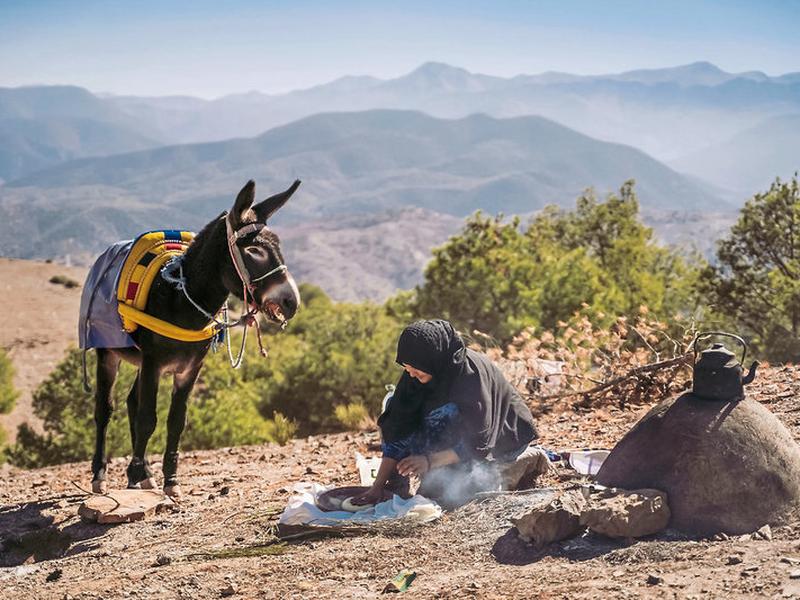 75278B5883153F5B0D7C8BC11FFABA4C