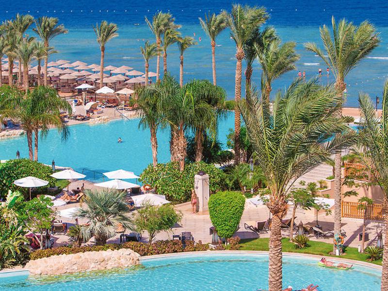 09EA633F8D43326B2531D7368FFF0B0B