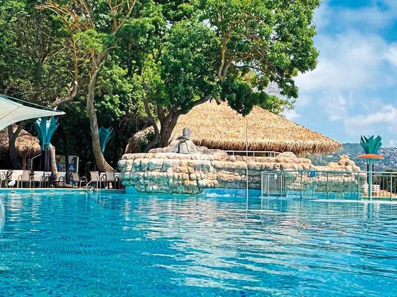 A3CD6AEE8F7ED5A439E044F582AE8ACD