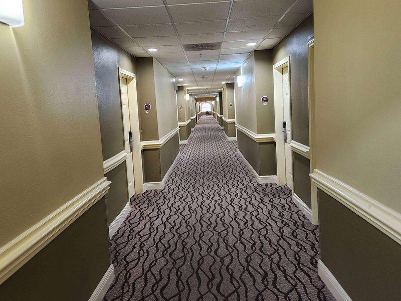 6A876997995B475CC4C35365688D8A4C