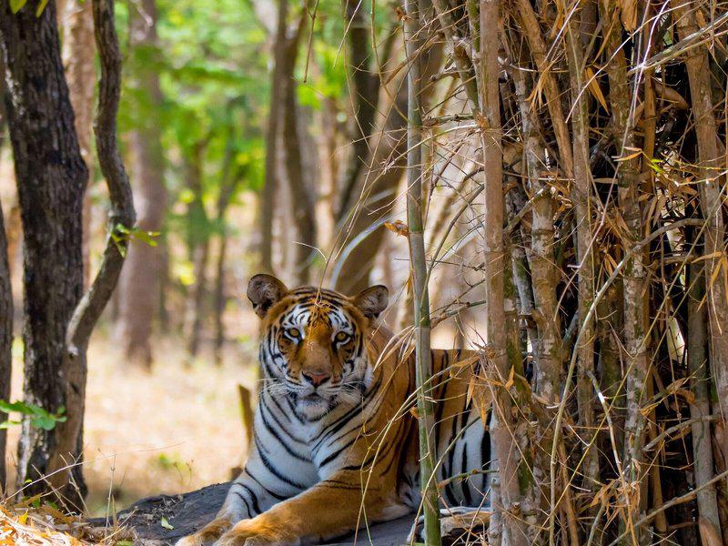 8CA00D451A421399EBC0556955B3BDB2