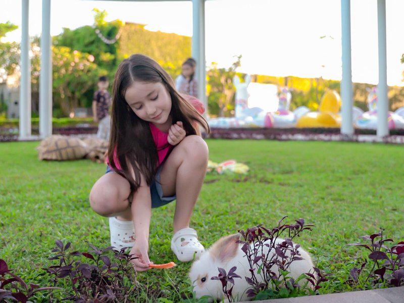 62FE1507BC436815A3A3C53977DCC7E2