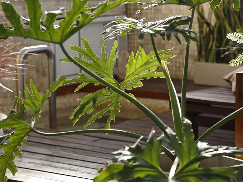 555792F028478753AAC20E3C52C9E9C5