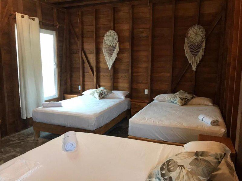 6E5FA56AE8657BDFC71AFCC73E90B51A