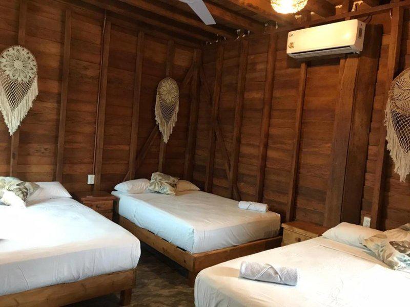 E1BBDFC252DB30961711D83850436FE8