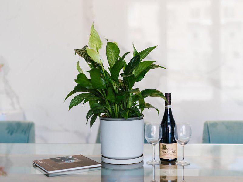 60227F8D207E5C7944CA8AEB3833EAC9