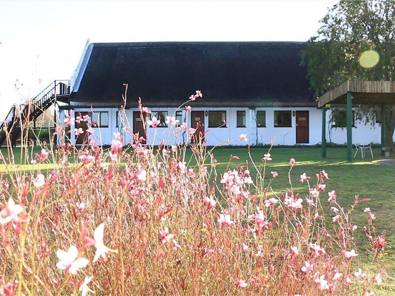 19C8421B3D0995C748A690F687E0D021