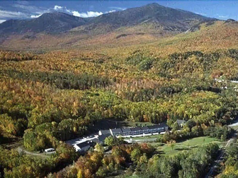 769E876F722CB94101E626683CBA17CB