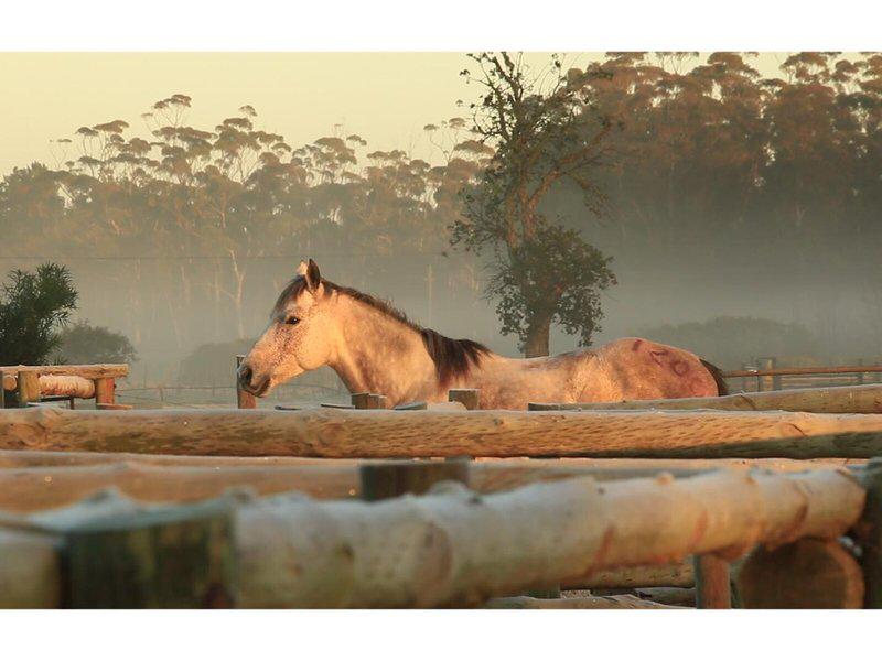 3AAEB71D01D423DD314CCD87A4B7B1A8