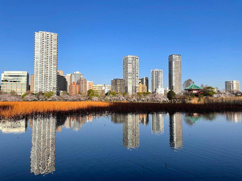 13ABF6FFB825E0AD2D805FD3E5CD459D