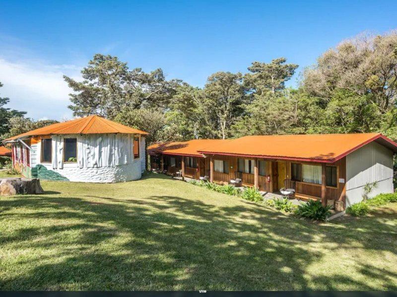 493E0E599F54204EAB29775967AC941E