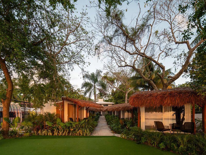 E9DDF73861C0F6C9F01559BE767786B8