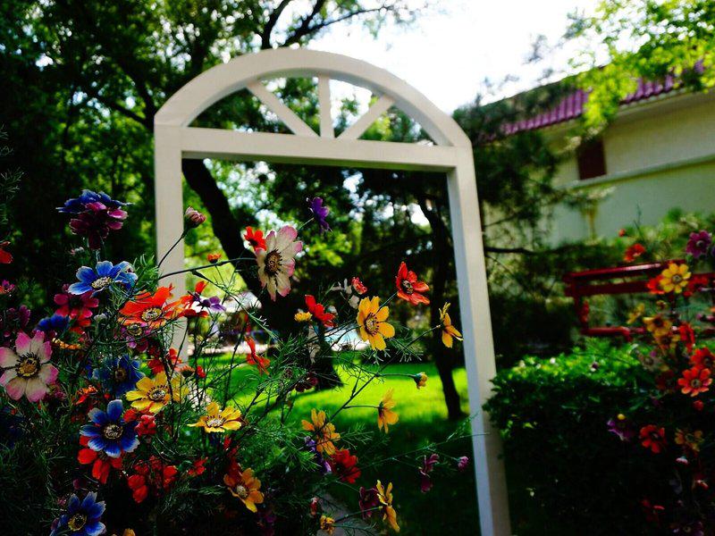 703B34C7D2346AF5F16C215FB0009754