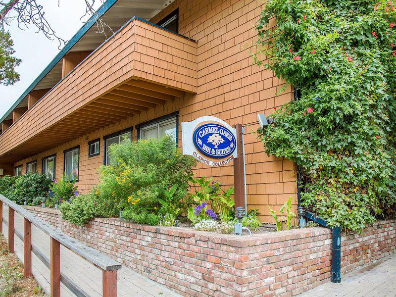 B82D04DC42DE3FB2DD6B93D9927DC345