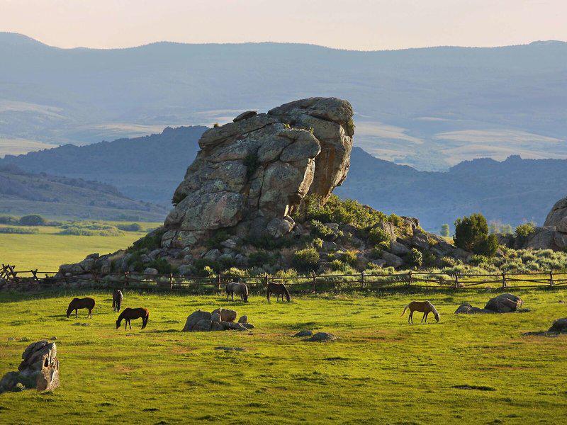 35AAF5C8D9B0B52FA58B9B5C5F062C02