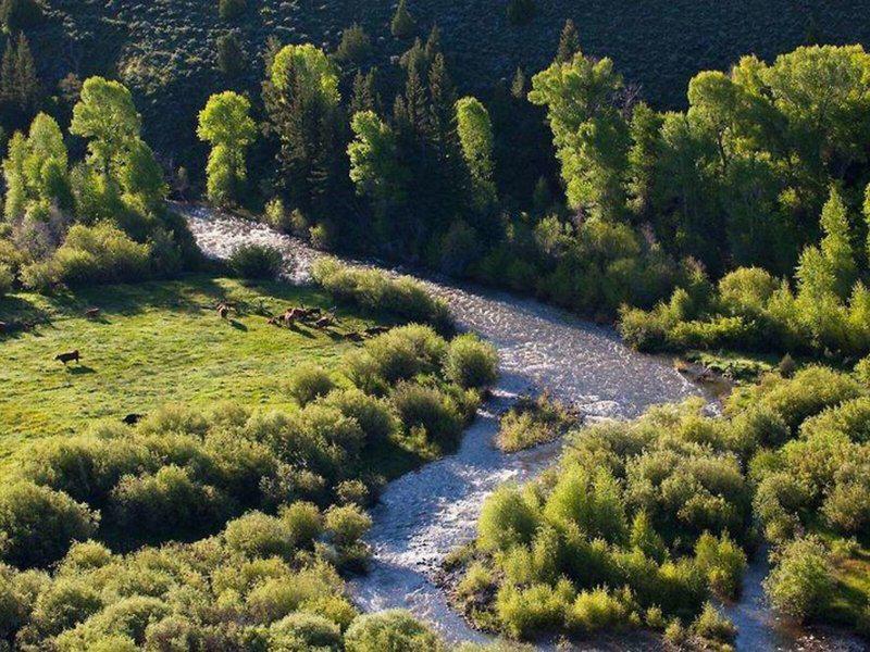 2655A7453459D9CBC3E858D2646ACD3D