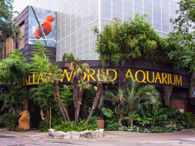 11404BD607066041F7BB77623062C579