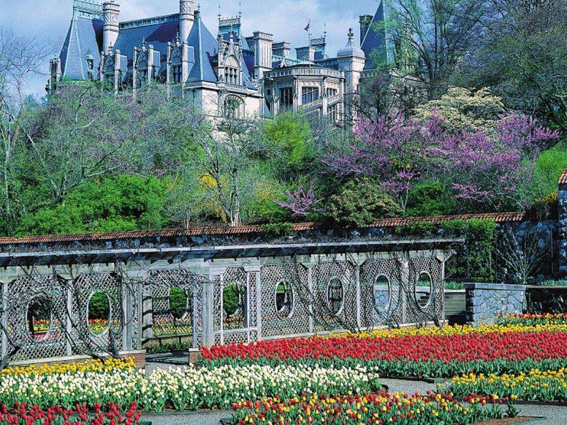 0722E987DD895C69B080A33B3BF96C91