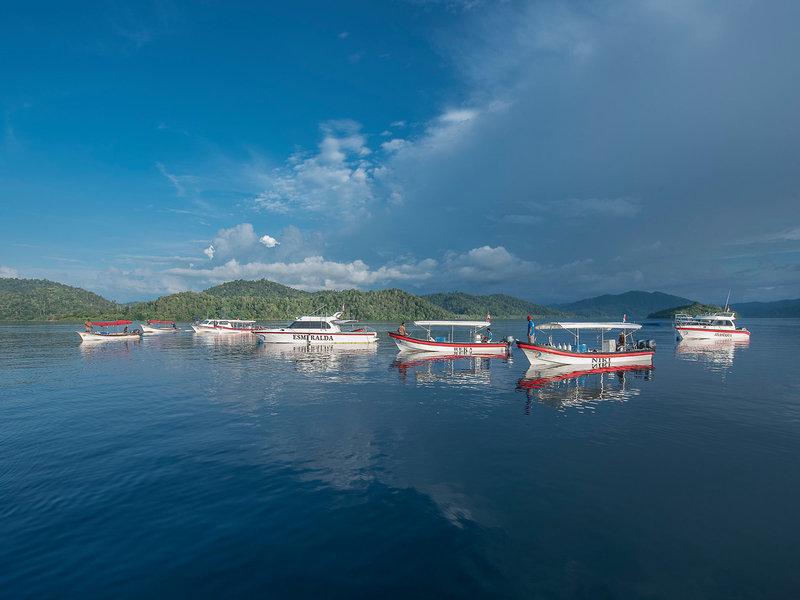 0A4A037BA28530DEDBF6C56952D98E53