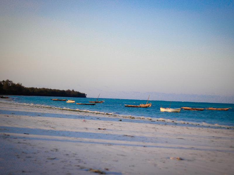 A26F66782AD54A5F48BBFC3A4D9E843C