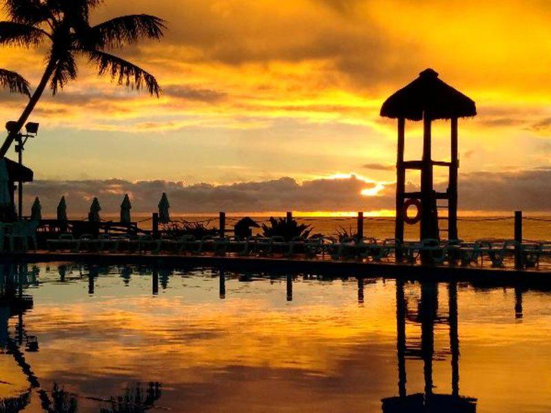 D4DEB1A86B872C9EFA1FE570F606E0F8