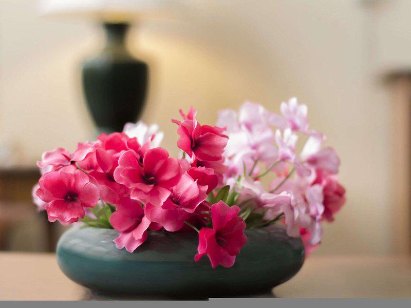 C853464494EFF3E3B113B65B3D524579